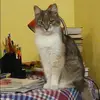 Отзыв от Яна Розанова